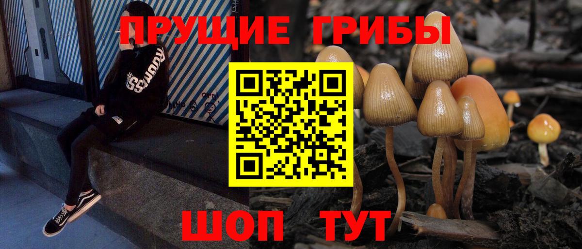 где продают наркотики  Вход с VPN  Ангарск  Псилоцибиновые грибы GOLDEN TEACHER 